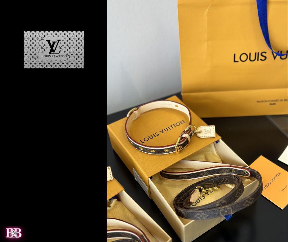 LV "Millionaire" Small Dog Leash -&- Collar Gift Box Set