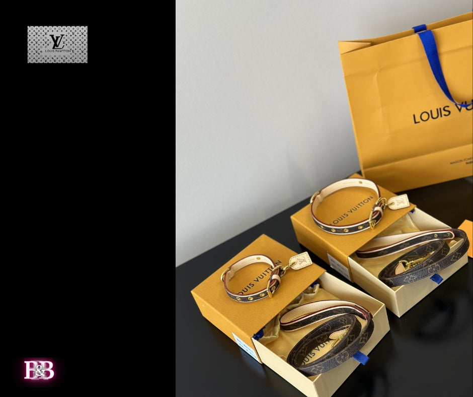 LV "Millionaire" Small Dog Leash -&- Collar Gift Box Set