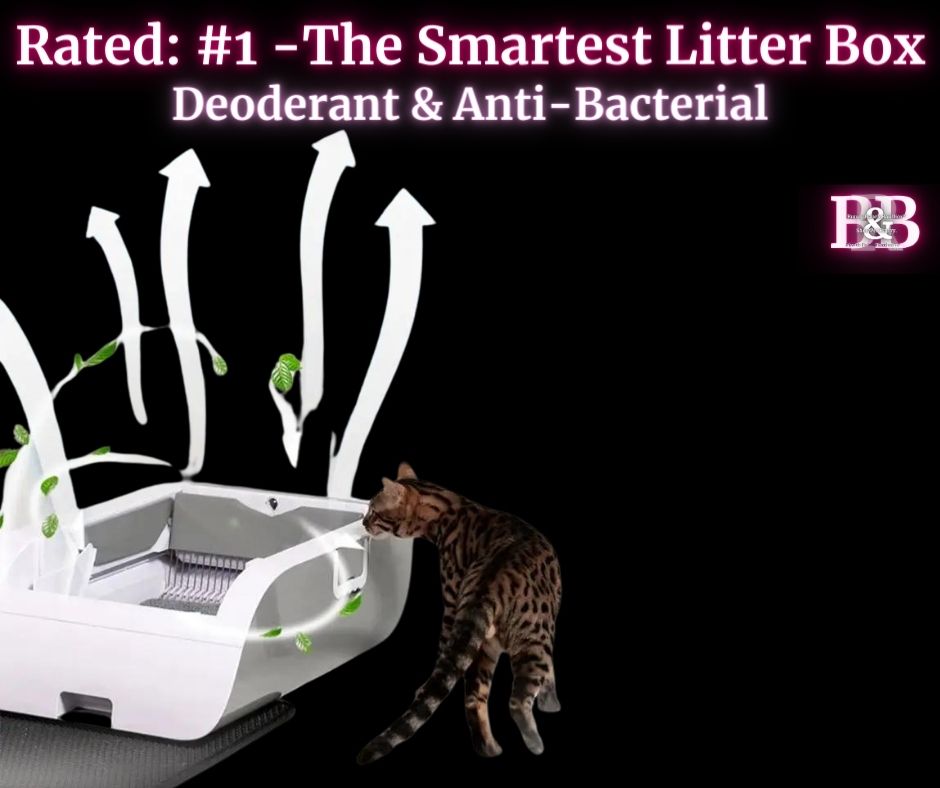 NEW  -IQ Intelligent InfaRed Design| Auto // Touch Control|Self Cleaning Cat Litter Box