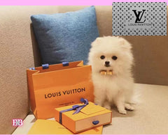 LV "Bow-Down" Big Bow StrutSet