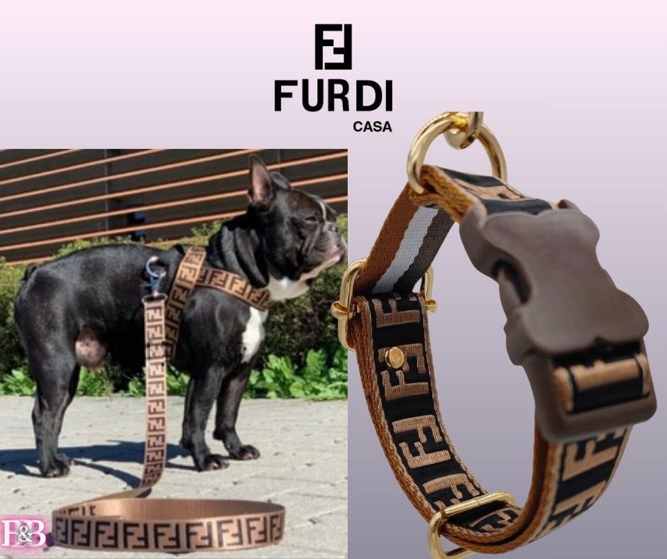 FF  "Guitar-Strap" Big-Dog StrutSet