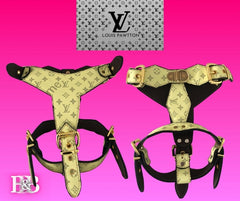 LV "No-Pull" Canary-Diamond-StrutSet