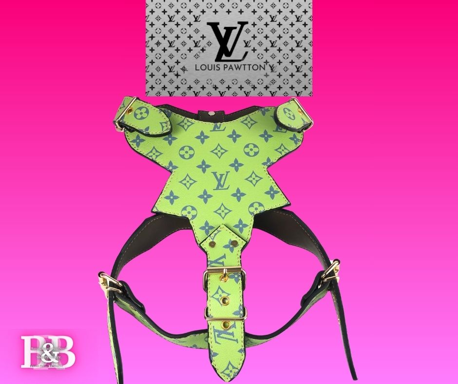 LV "No-Pull" Get-Lucky-StrutSet