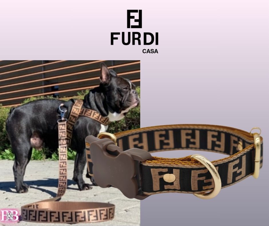 FF  "Guitar-Strap" Big-Dog StrutSet