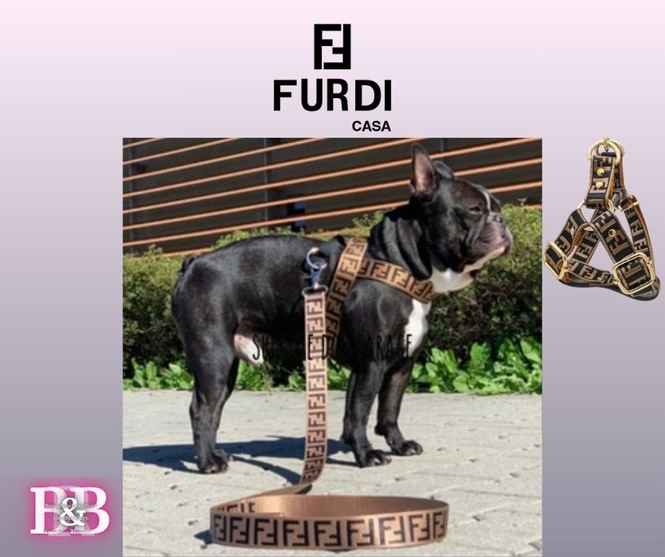 FF  "Guitar-Strap" Big-Dog StrutSet