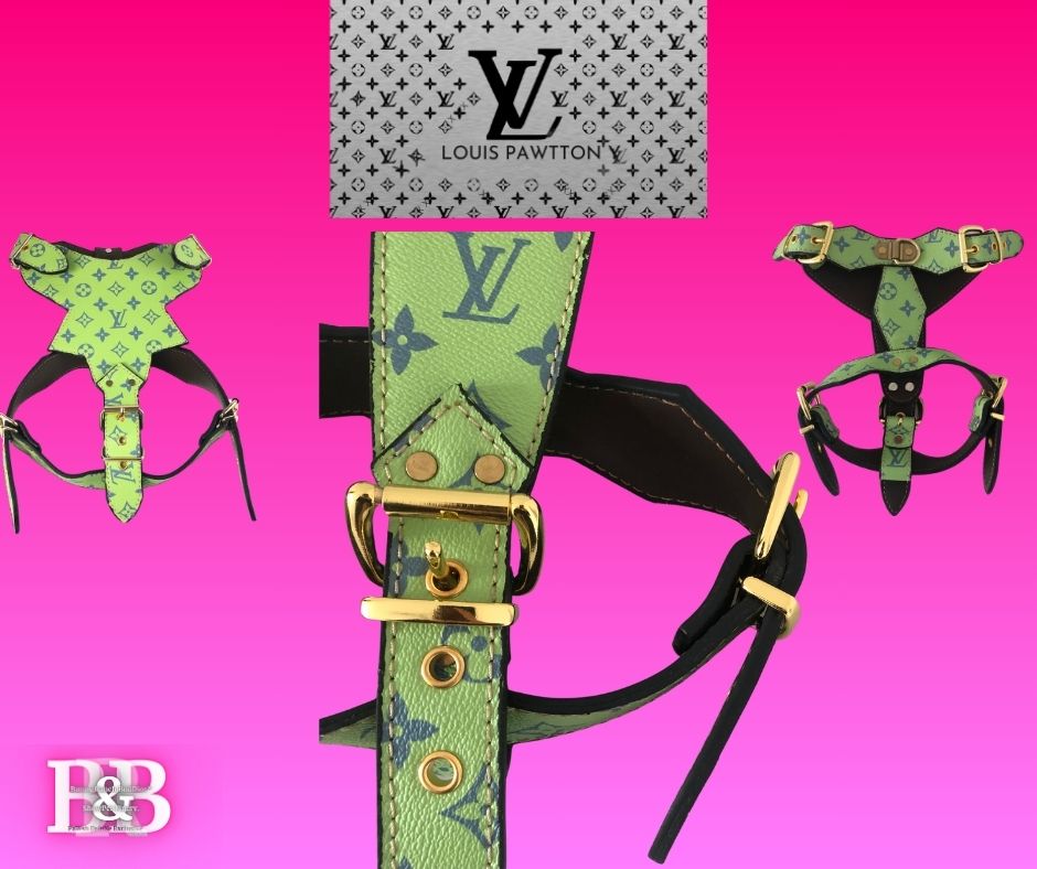 LV "No-Pull" Get-Lucky-StrutSet