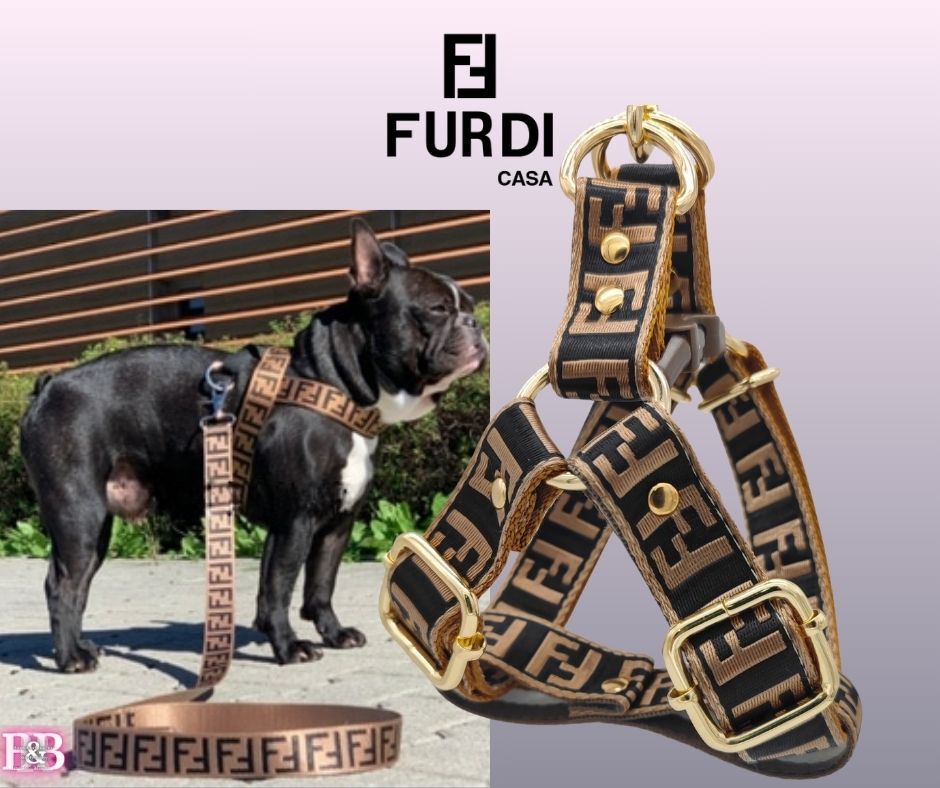 FF  "Guitar-Strap" Big-Dog StrutSet