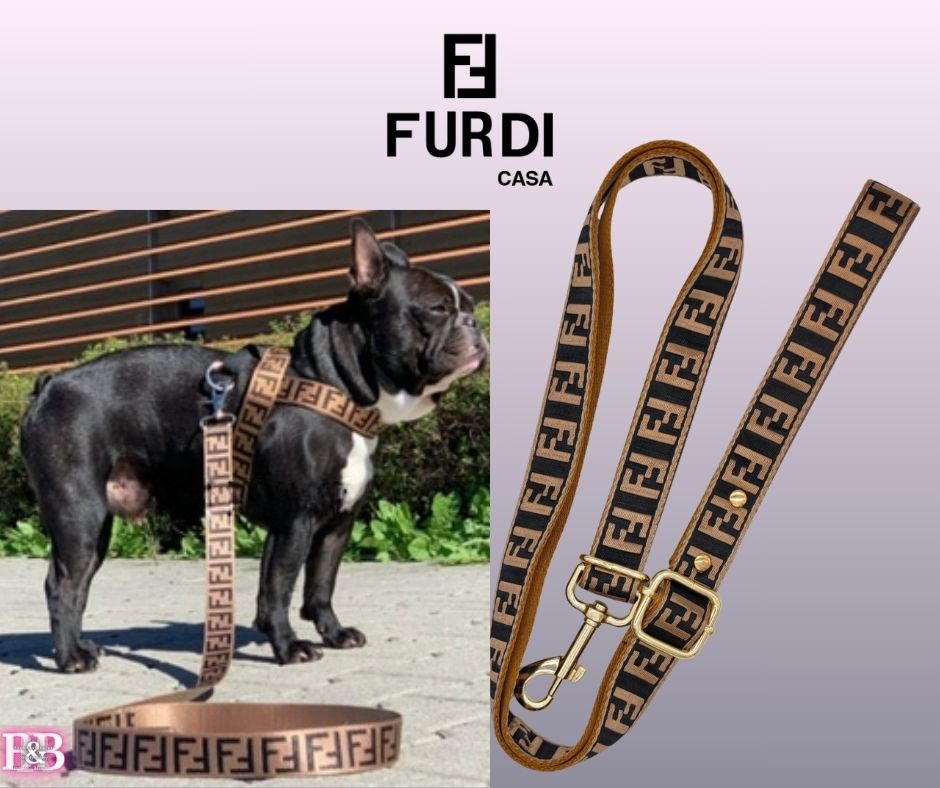 FF  "Guitar-Strap" Big-Dog StrutSet