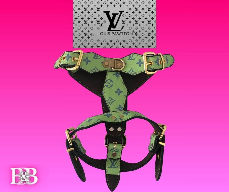 LV "No-Pull" Get-Lucky-StrutSet