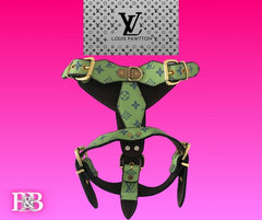 LV "No-Pull" Get-Lucky-StrutSet