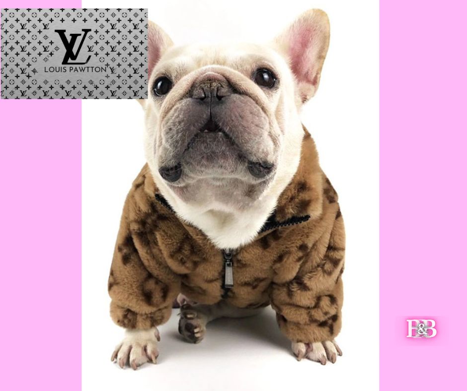 LV Monogram Bomber TeddyCoat