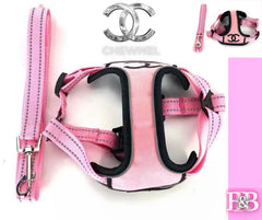 CC "Snug-No-Tug" -Leash & Harness-StrutSet