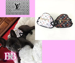 LV Harness & Snack-BackPack