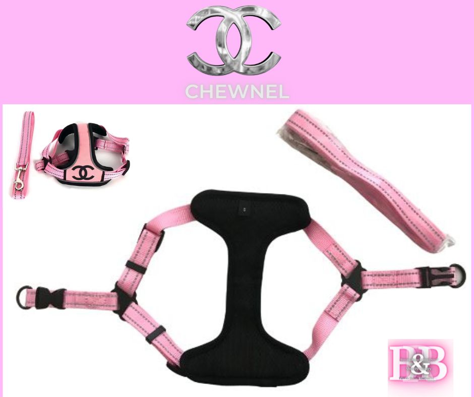 CC "Snug-No-Tug" -Leash & Harness-StrutSet