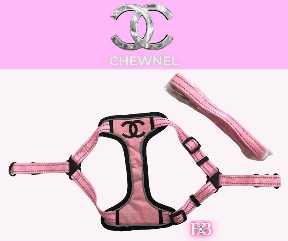 CC "Snug-No-Tug" -Leash & Harness-StrutSet