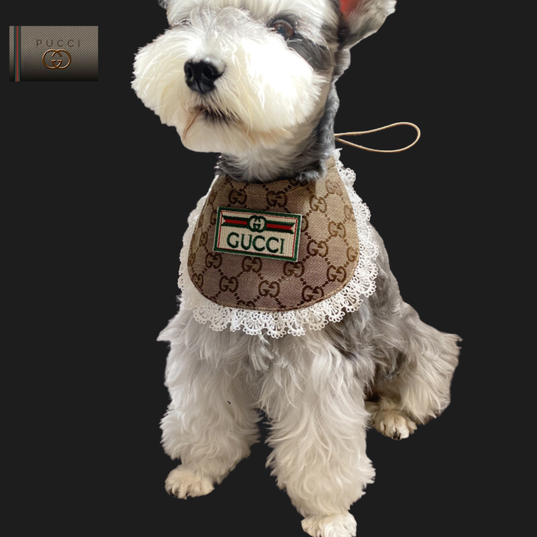 GG Wine-&-Dine-Shielder Show Pet Bib