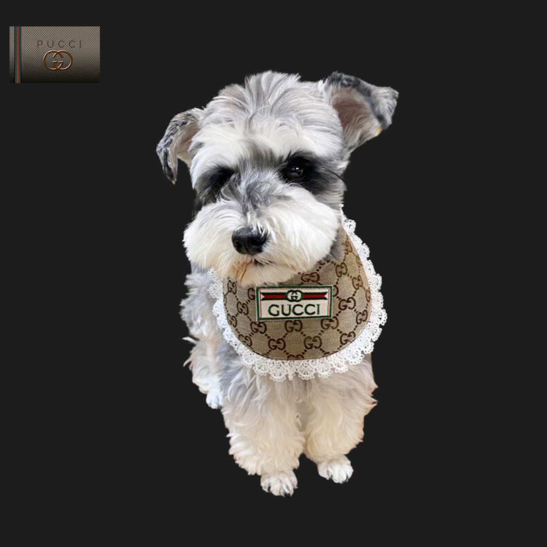 GG Wine-&-Dine-Shielder Show Pet Bib