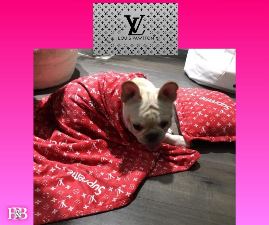 LV "PureBred-SnugglSet"