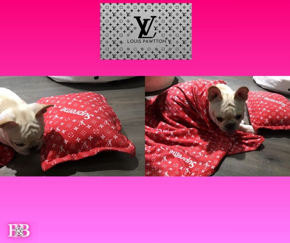 LV "PureBred-SnugglSet"